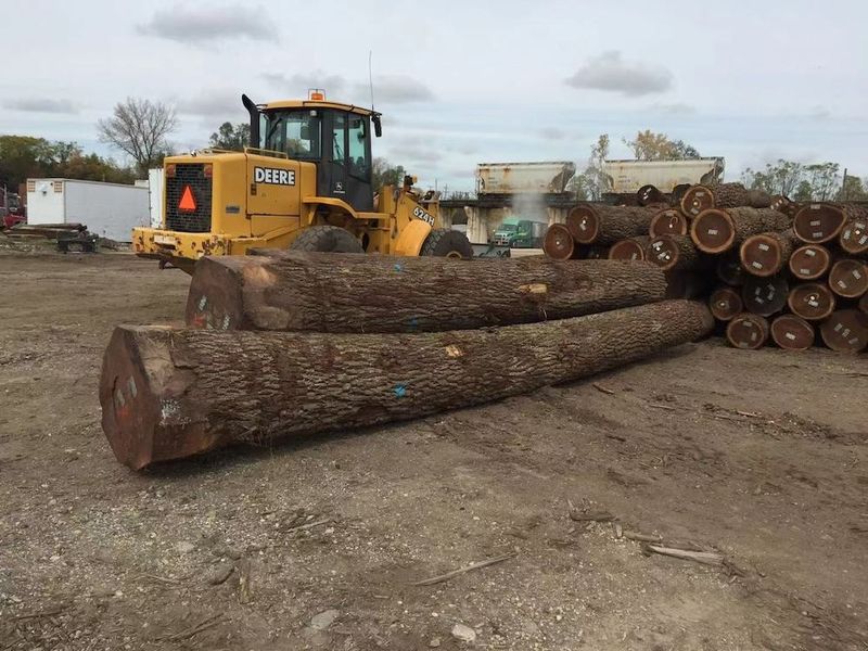 Trung Quốc Dongguan Yinghui Wood Industry Co., Ltd. hồ sơ công ty