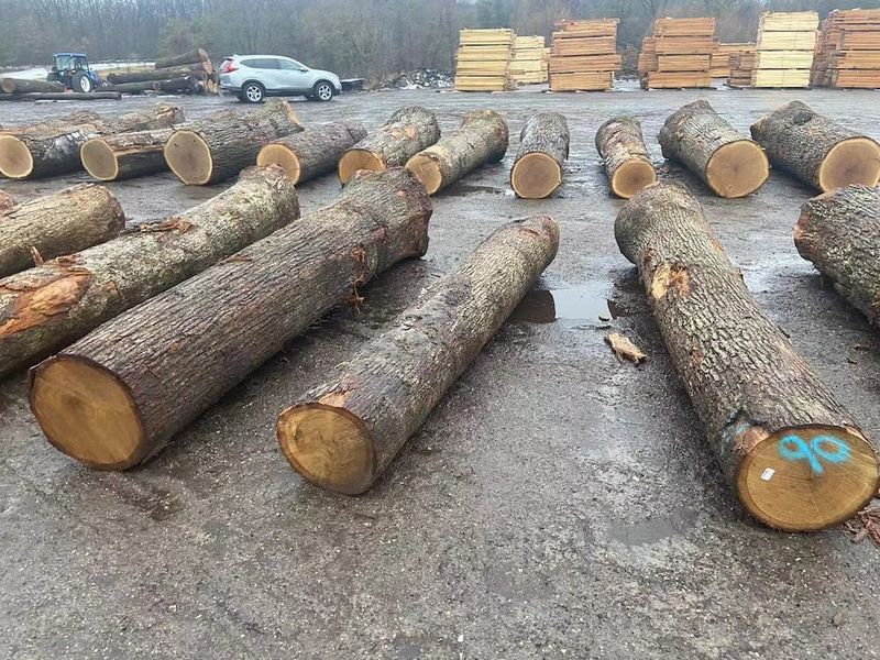 Trung Quốc Dongguan Yinghui Wood Industry Co., Ltd. hồ sơ công ty