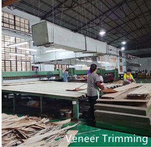 Dongguan Yinghui Wood Industry Co., Ltd. dây chuyền sản xuất